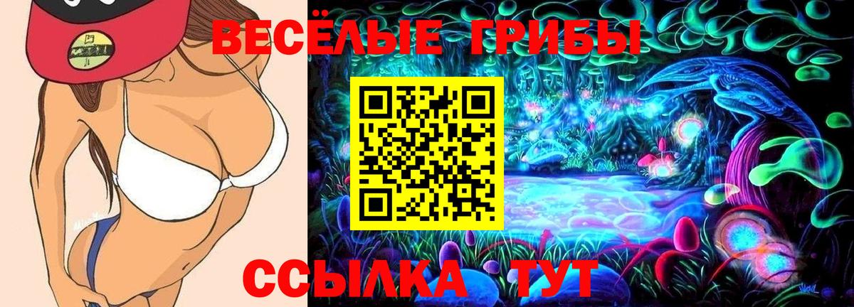 Реж  Галлюциногенные грибы GOLDEN TEACHER  Псилоцибиновые грибы прущие грибы  Вход с VPN 